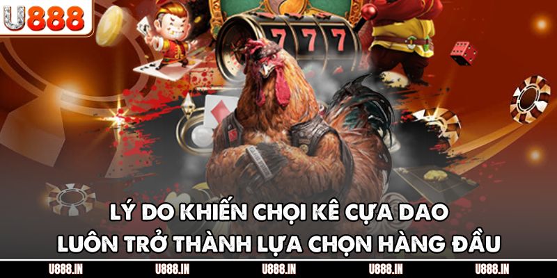 Lý do khiến chọi kê cựa dao luôn trở thành lựa chọn hàng đầu
