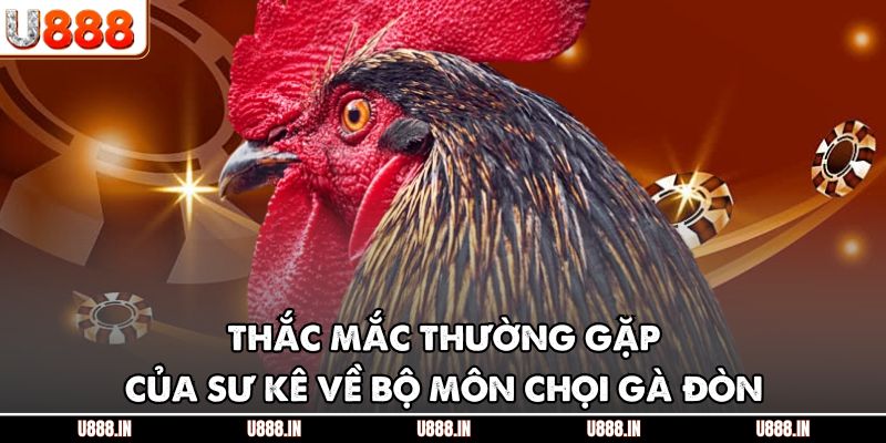 Thắc mắc thường gặp của sư kê về bộ môn chọi gà đòn